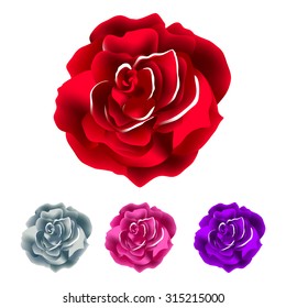 Big rose. Abstract background red vector art