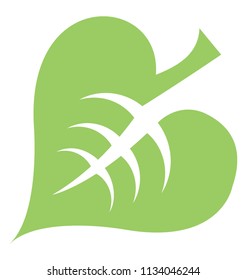 
A big rough heart shaped leaf with corner like edges and numerous pores on the skin, linden leaf 
