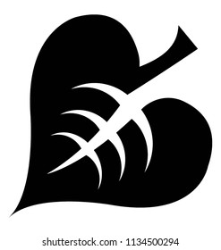 
A big rough heart shaped leaf with corner like edges and numerous pores on the skin, linden leaf 
