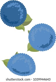 Big round flowers to pop color into anything. 