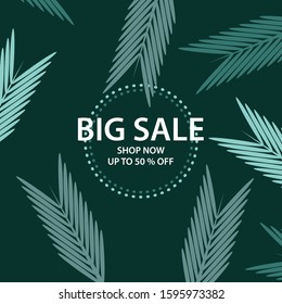 big sale background vector image