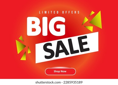 Big Sale special offer banner in vector format