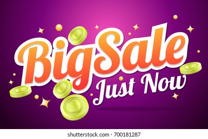 big sale template banner Vector background for banner, poster, flyer