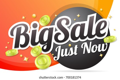 big sale template banner Vector background for banner, poster, flyer