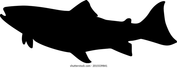 Big salmon fish. The salmon family. Vector image for fishing.