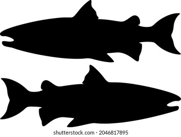Big salmon fish. Vector image.