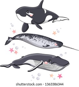 Big sea animals