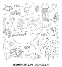 Big sea animals set. Vector sealife colouring page. Hand drawn doodle, fish and underwater animals. Whale, anglerfish, clownfish, jellyfish, starfish, crab, crayfish, seashell, turtle, algae, coral. 