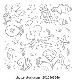 Big sea animals set. Vector sealife colouring page with octopus, ball fish, jellyfish, clownfish, starfish, crayfish, seahorse, reef fish, algae. Design for stickers, decor, pattern, print, cards.