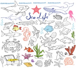 Big Sea Life Animals Hand Drawn Sketch Set. Doodles Of Fish, Shark, Octopus, Star, Crab, Whale, Turtle, Seahorse, Seashells And Lettering, Isolated