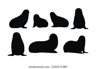 Big sea lion silhouette bundle design. Wild sea lions sitting in different positions. Seals full body silhouette collection. Big sea creatures and sea lions sitting, silhouettes on a white background.