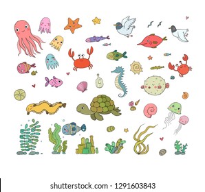 Big sea set. Cute cartoon fish, gull, octopus and algae. Marine theme. Hand drawing isolated objects on white background.