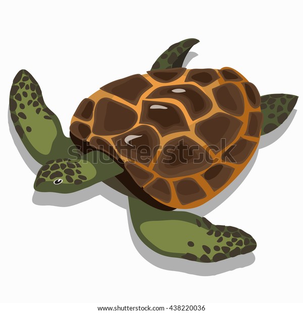 Big Sea Turtle Isolated On White Stock Vector (Royalty Free) 438220036 ...