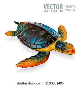 Big sea turtle. Vector illustration. Tortoise isolated on white background