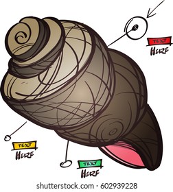 Big seashell logo in cartoon style. The elements for infographics with a hand-drawing style.