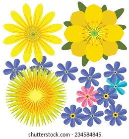 Big Selection of Various Dahlia Flowers Isolated on White Background 