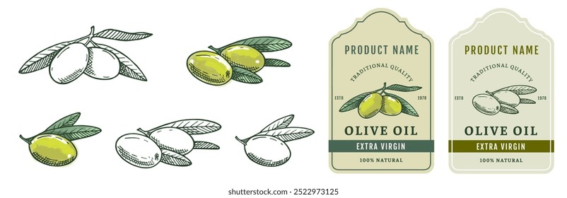 Big set 1 of hand drawn olives with leaves and two labels isolated on white background. Healthy vegetarian organic food. Vector Illustration. 