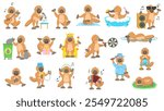 Big Set Abstract Collection Flat Cartoon Different Animal Platypus Duckbill Vector Elements Fauna Wildlife