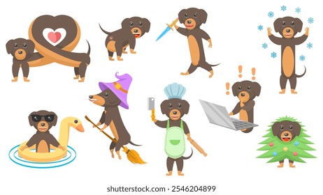 Big Set Abstract Collection Flat Cartoon Different Animal Dachshunds Dogs Vector Design Style Elements Fauna Wildlife