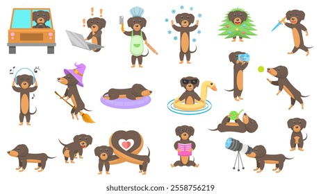 Big Set Abstract Collection Flat Cartoon Different Animal Dachshunds Dogs Vector Design Style Elements Fauna Wildlife