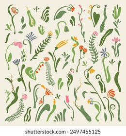 Big set of abstract delicate fancy flowers, botanical natural pattern, herbal background, isolated elements, scandinavian style