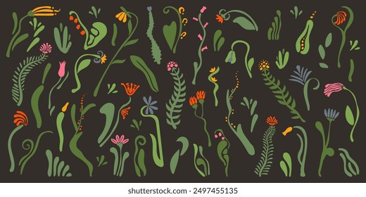 Big set of abstract delicate fancy flowers, botanical natural pattern, herbal black background, isolated elements, scandinavian style
