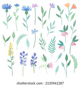 Big set of abstract meadow flowers in watercolor style. Hand drawn vector illustration.