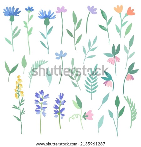 Big set of abstract meadow flowers in watercolor style. Hand drawn vector illustration.