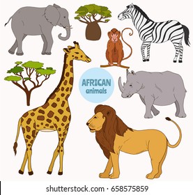 Big set with african animals and lion, elephant, zebra, rhinoceros, giraffe, baobab.