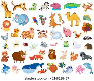 Big set of african, forest, domestic and sea animals and insects. vector image