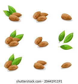 Big set of Almonds with leaves on white background. Vector Illustration.