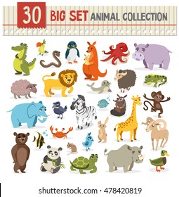 big set animal collection