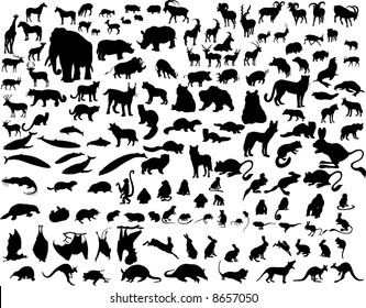 Big Set of  Animal Silhouettes in Different Poses. Zoo, Wildlife, Sea Life Almost Each Kind of Fauna Represented in set. High Detail. Vector Illustration.