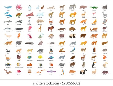 Big set of animals, fish and birds with titles for kids. 100  Animal different сards of South America, Asia ,Europe, North America, Africa, Australia, Atlantic.
Vector cartoon characters.  