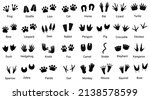 Big set with animals footprint in black color. Paw trace in different shape