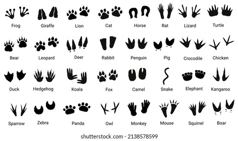 Big set with animals footprint in black color. Paw trace in different shape