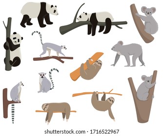 Big set of animals living on trees. Panda, lemur, sloth, koala in different poses.