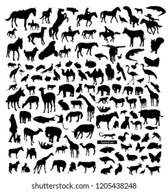 Big set of animals silhouettes