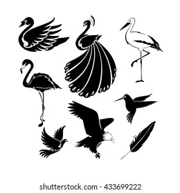 Big set of artistic vector birds. Clean, simple, good for logo design