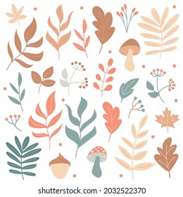 Big set of Autumn elements - mushrooms and plants - on a white background. Hand-drawn icons in pastel colors