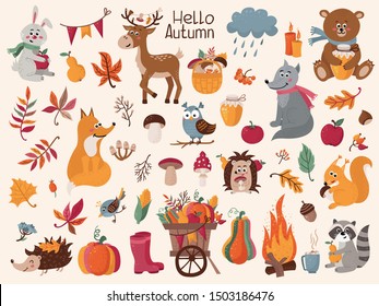 Big set of autumn herbs, leaves and forest animals