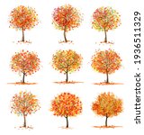 Big Set of Autumn Inspired Trees with Colorful Leaves. Vector illustration.