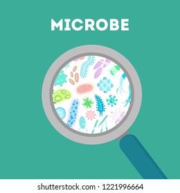 Big set of bacteria, virus and microbe organism. Biology and microbiology element. Dangerous and useful bacterium through magnifying glass. Isolated flat vector illustration