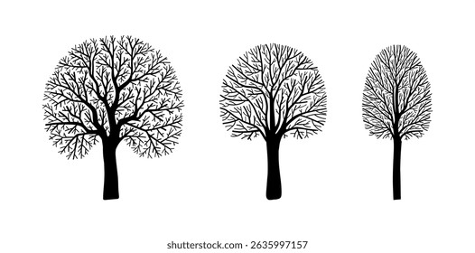 Big set of bare circle shaped tree silhouette illustration, detailed decorative botany design abstract outdoor elements, natural organic hand drawn plant system eco pattern, autumn or winter clip art