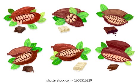 Big set with bars of white and black sweet or bitter chocolate made from cocoa pods and beans. Vector realistic illustrations for packaging, shop label, confectionary, advertising, recipe, web design.