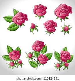 Big set of a beautiful colored roses. Vector illustration.