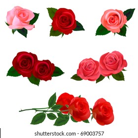 Big set of a beautiful colored roses. Vector illustration.