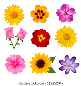 Big set of beautiful colorful flowers. Vector illustration