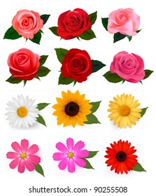 Big set of beautiful colorful flowers. Vector illustration.