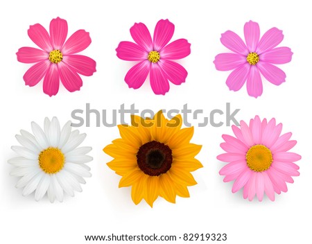 Big set of beautiful colorful flowers. Vector illustration.